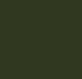 AK Interactive 11427 Figures Series: Green Uniform Base 3G Acrylic Paint 17ml Bo
