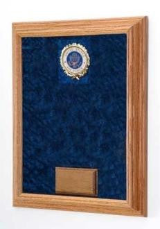 Large Deluxe Awards Display Case