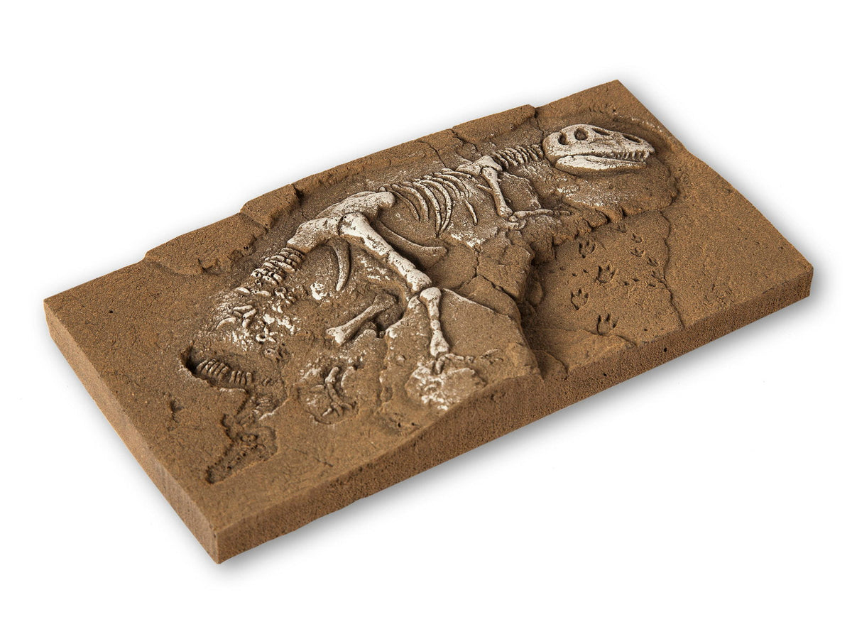 Noch 58614 HO/TT/N Scale T-Rex Excavation Scene, 13.5 cm