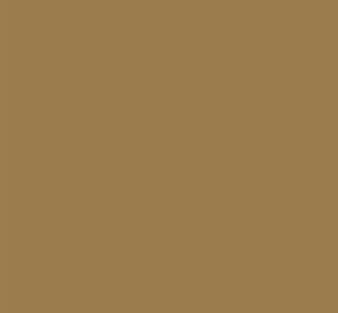 AK Interactive 11302 AFV Series: WWI French Milky Coffee 3G Acrylic Paint 17ml B