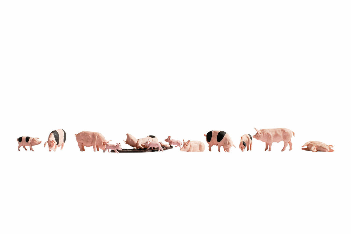 Noch 36712 N Scale Pigs & Piglets Set, pkg(12)