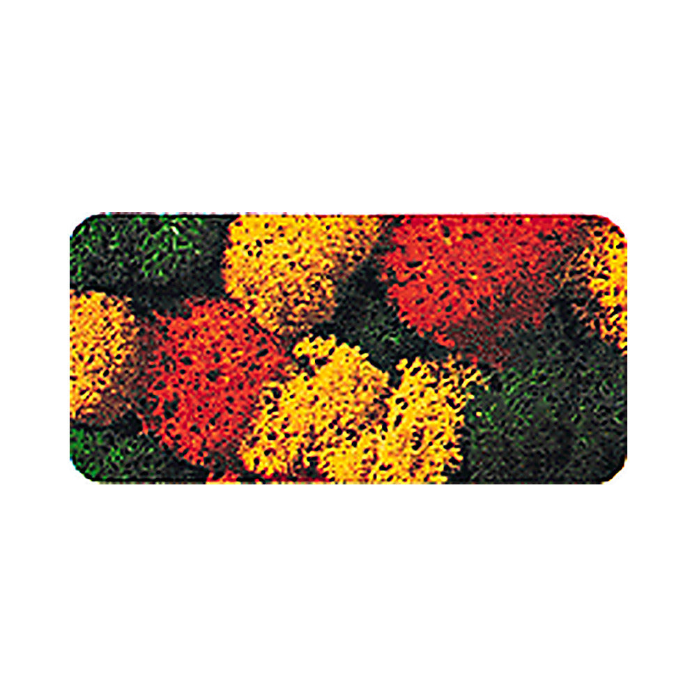 Noch 8620 All Scale Lichen Double-Pack - 2-3/4oz 78g -- Autumn