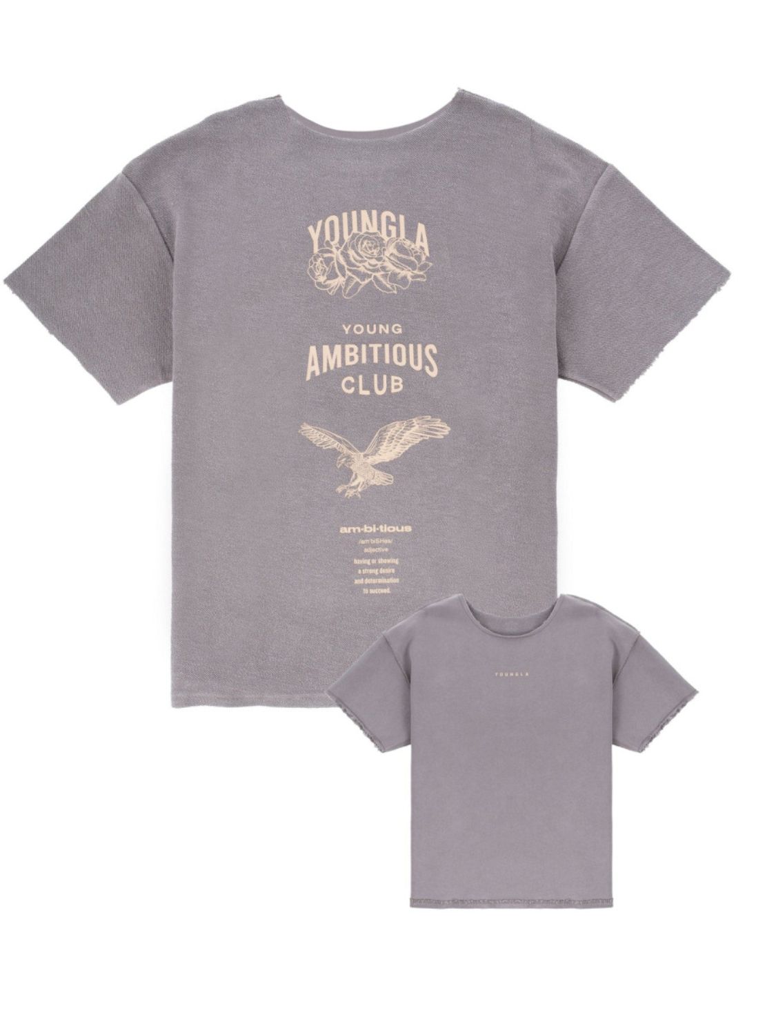 Men's Plus Size Graphic Round Neck Short Sleeve T-Shirt