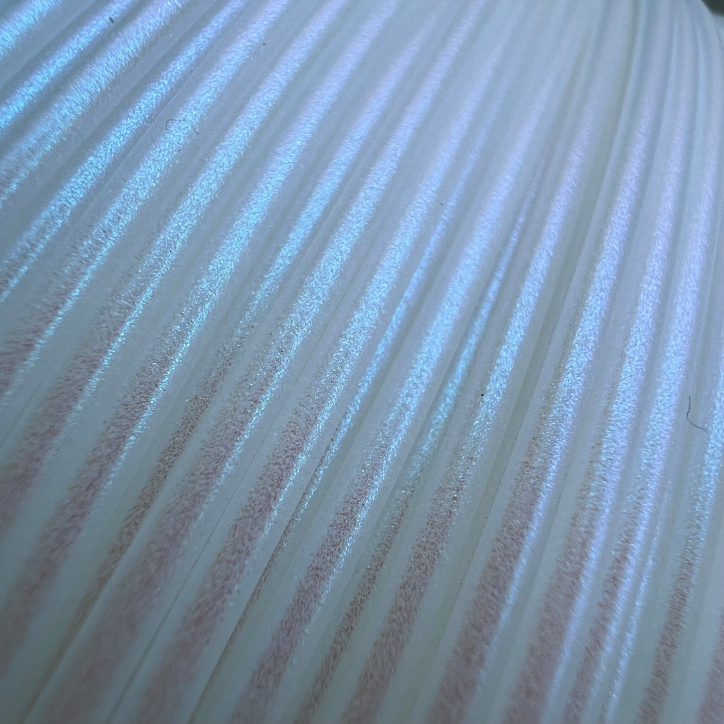 Blue Pearl PLA Filament 1.75mm, 1kg