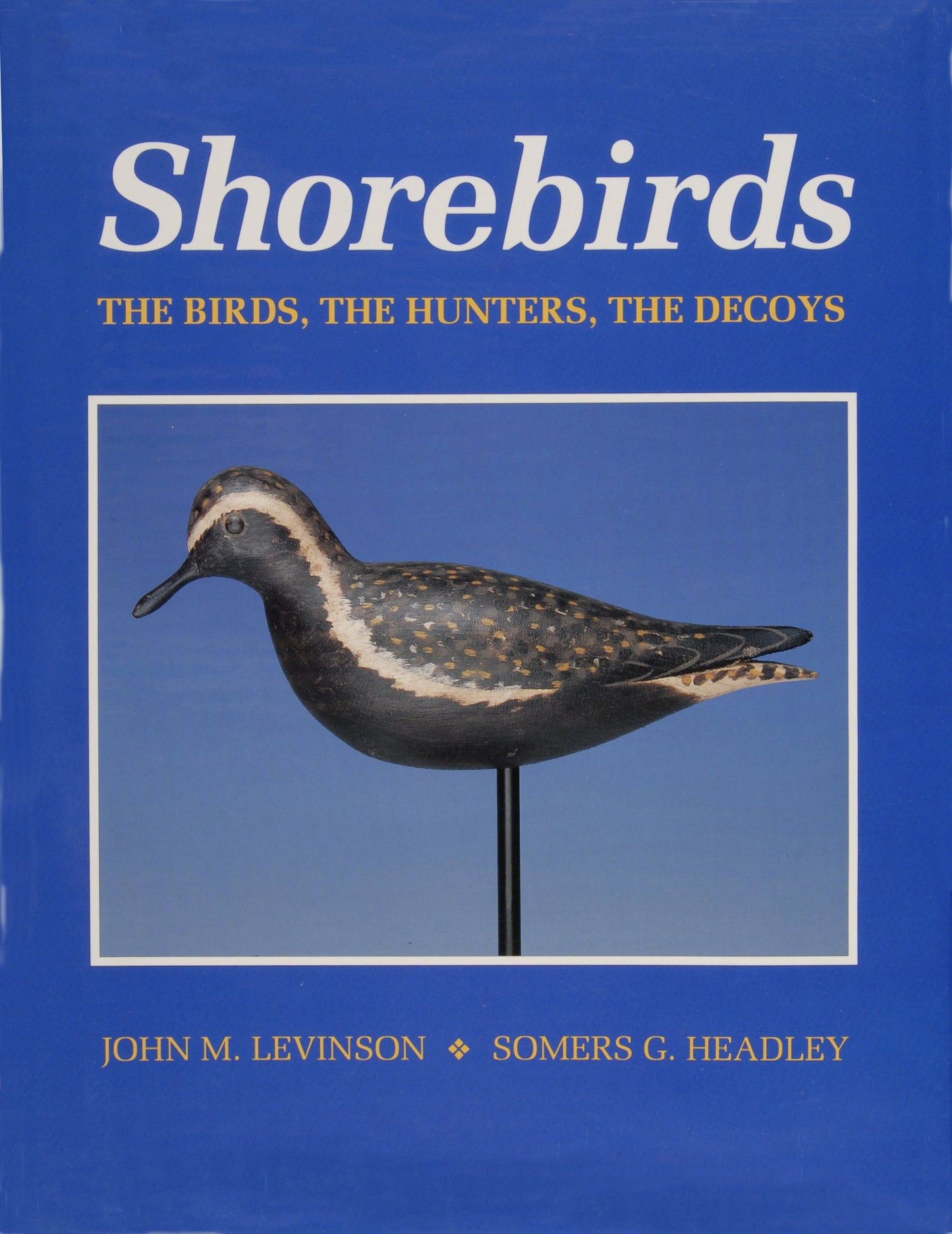 Shorebirds by Schiffer Publishing