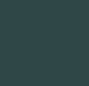 AK Interactive 11365 AFV Series: French Army Grey Blue 3G Acrylic Paint 17ml Bot