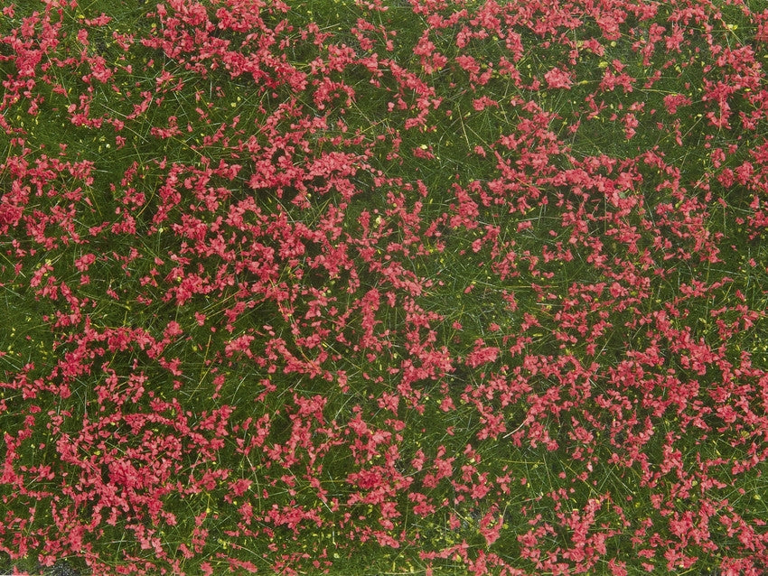 Noch 7257 All Scale Ground Cover Foliage Pad, Meadow Red