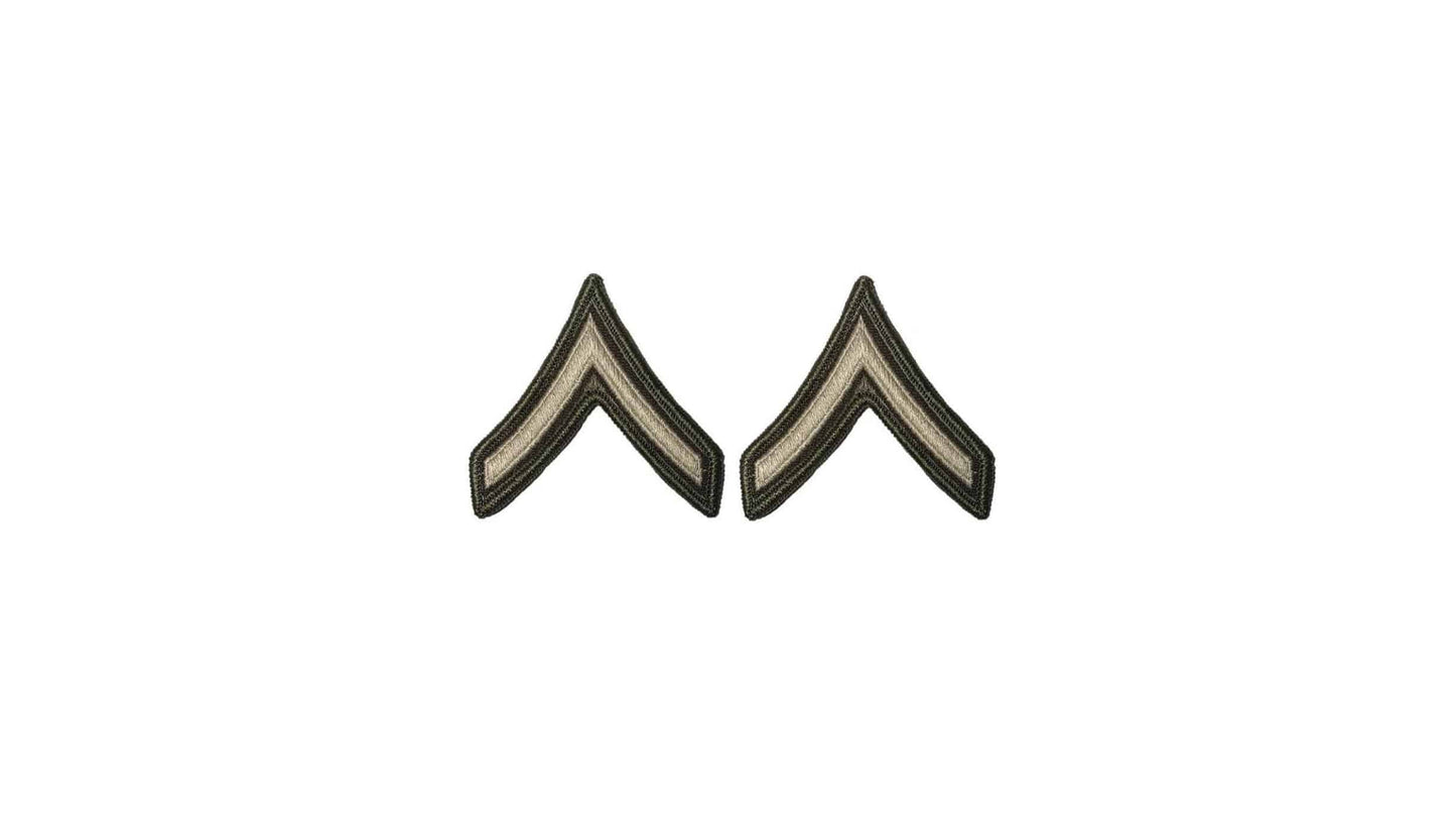 U.S. Army AGSU E-2 Private Chevron sew on rank (Female)