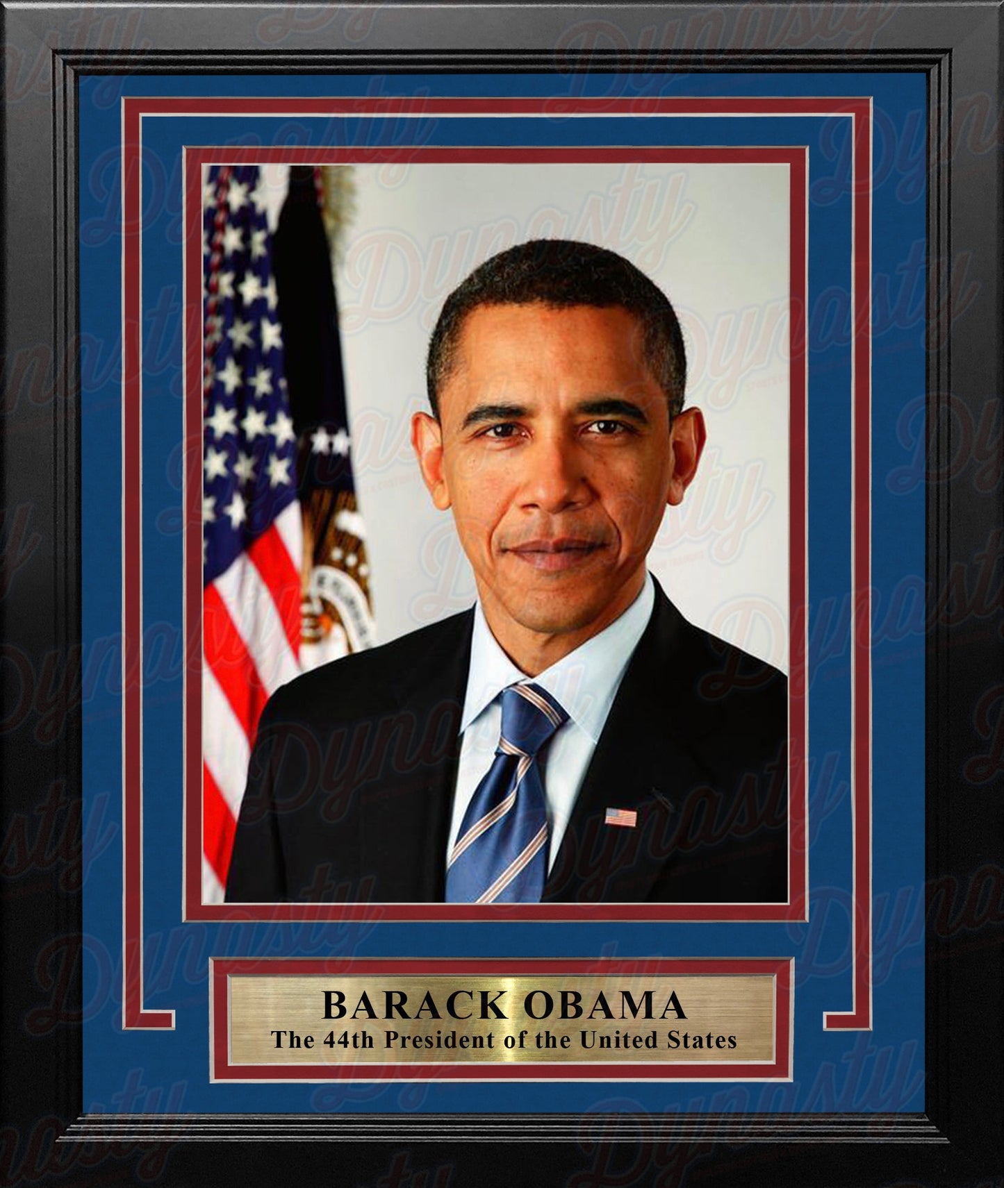 Barack Obama 44th President of the United States 8" x 10" Framed and Matted Photo