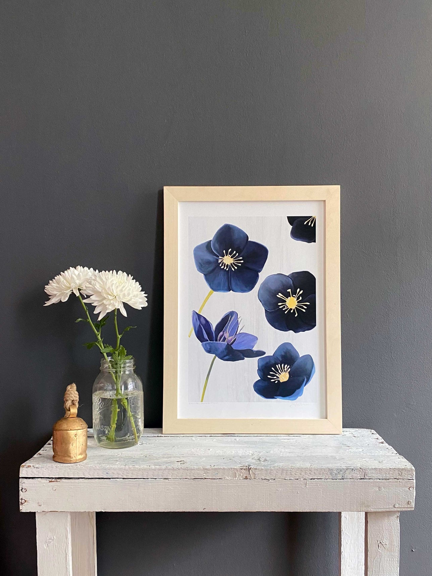 Art Print: Black Hellebore on Snow by India & Purry