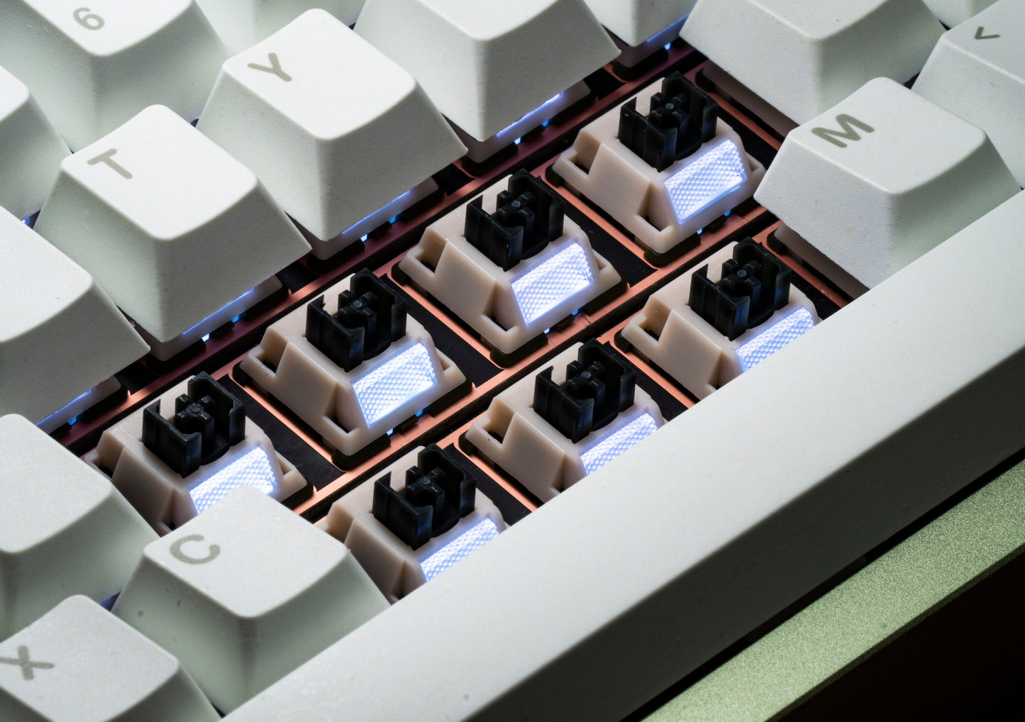 Turtle Silent Tactile Switches