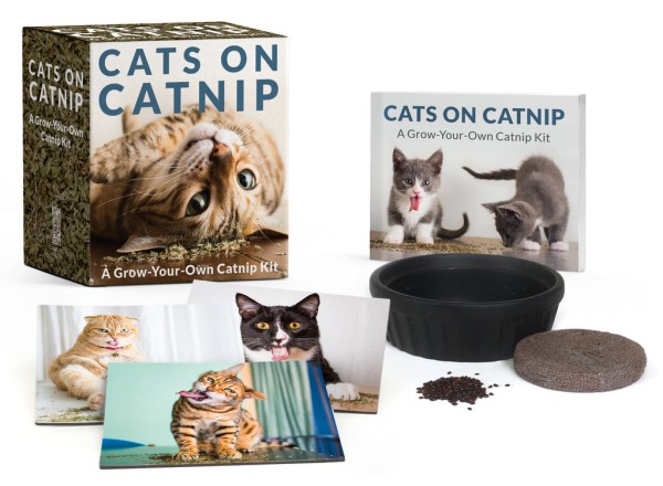 RP Minis: Cats on Catnip - A Grow-Your-Own Catnip Kit