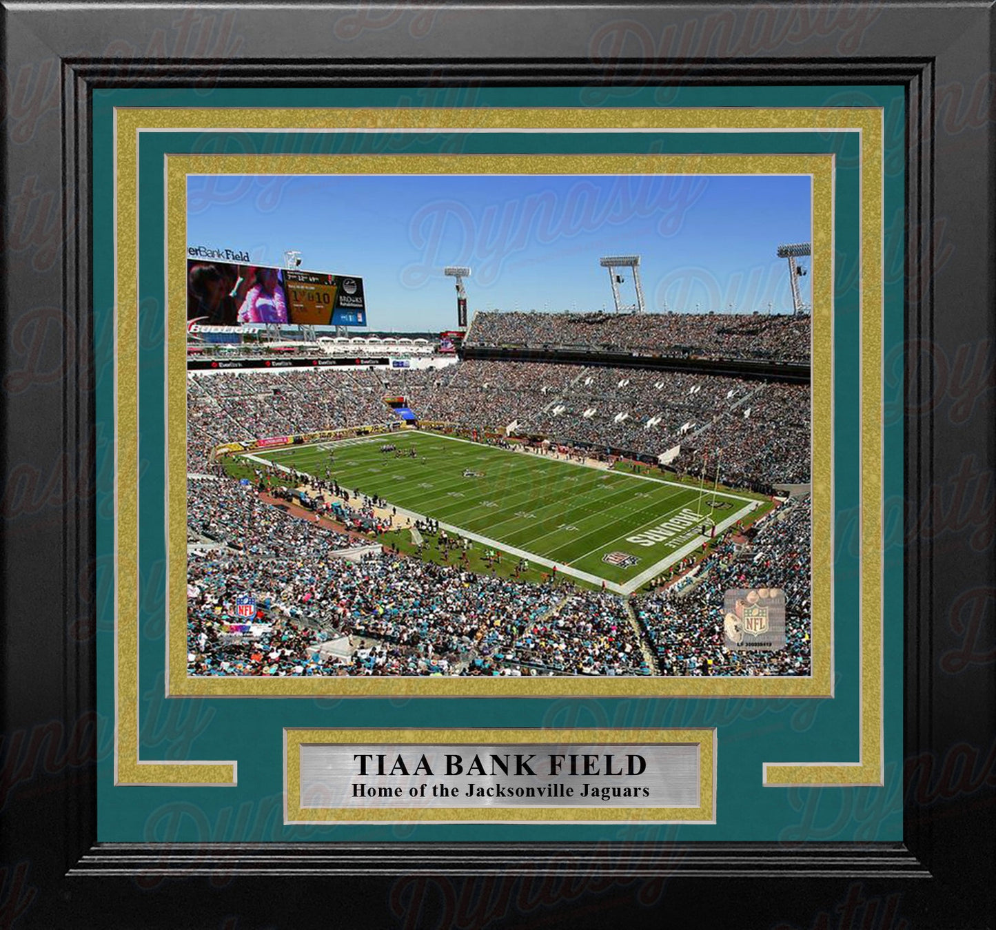 Jacksonville Jaguars TIAA Bank Field NFL Football 8" x 10" Framed and Matted Stadium Photo