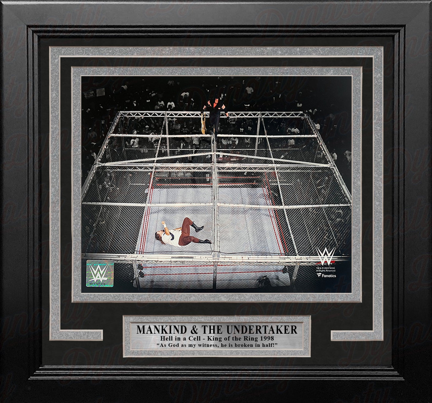Mankind v. The Undertaker Hell in a Cell 8" x 10" Framed WWE Wrestling Photo