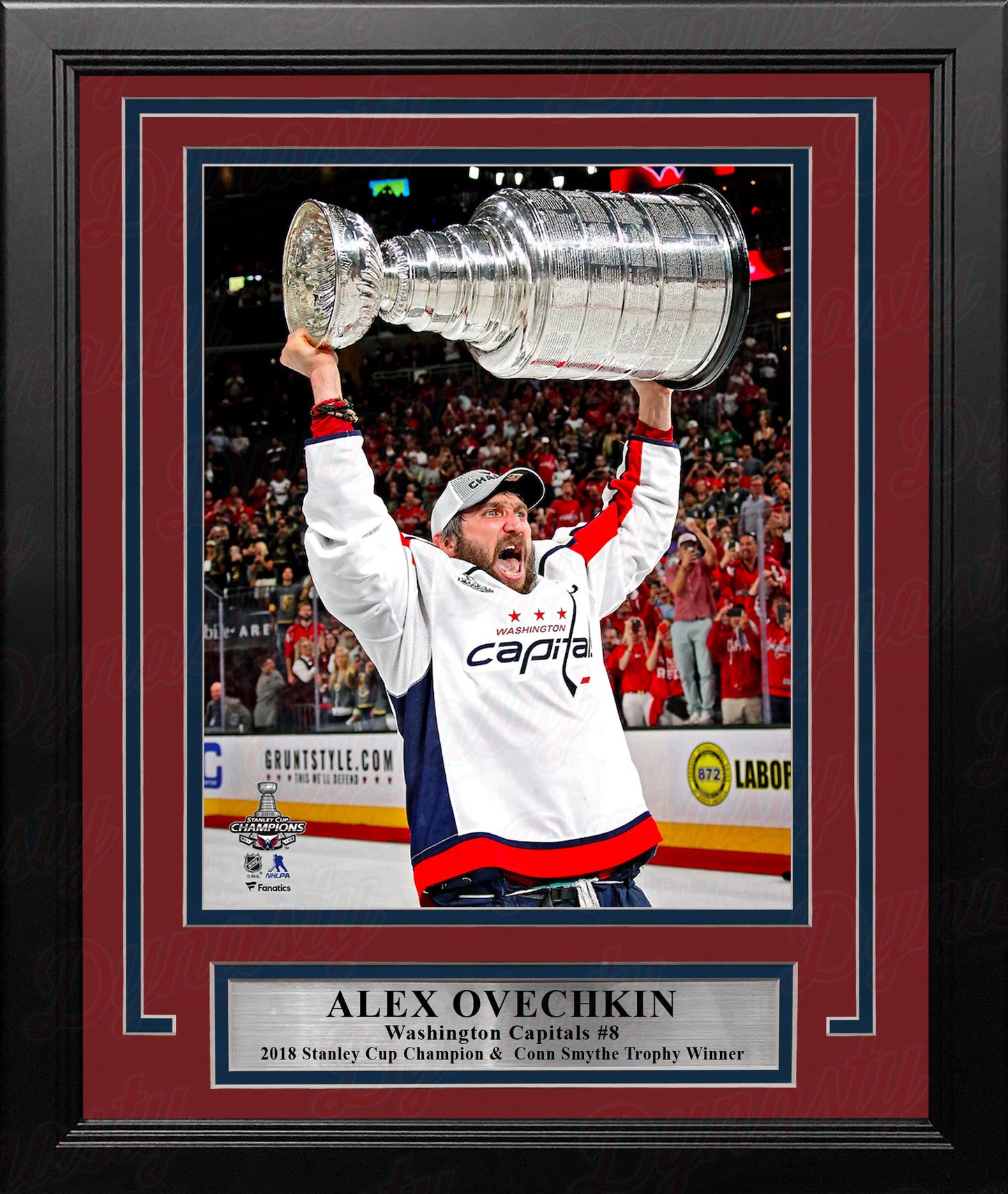 Alex Ovechkin Washington Capitals 2018 Stanley Cup Champions 8" x 10" Framed Hockey Photo