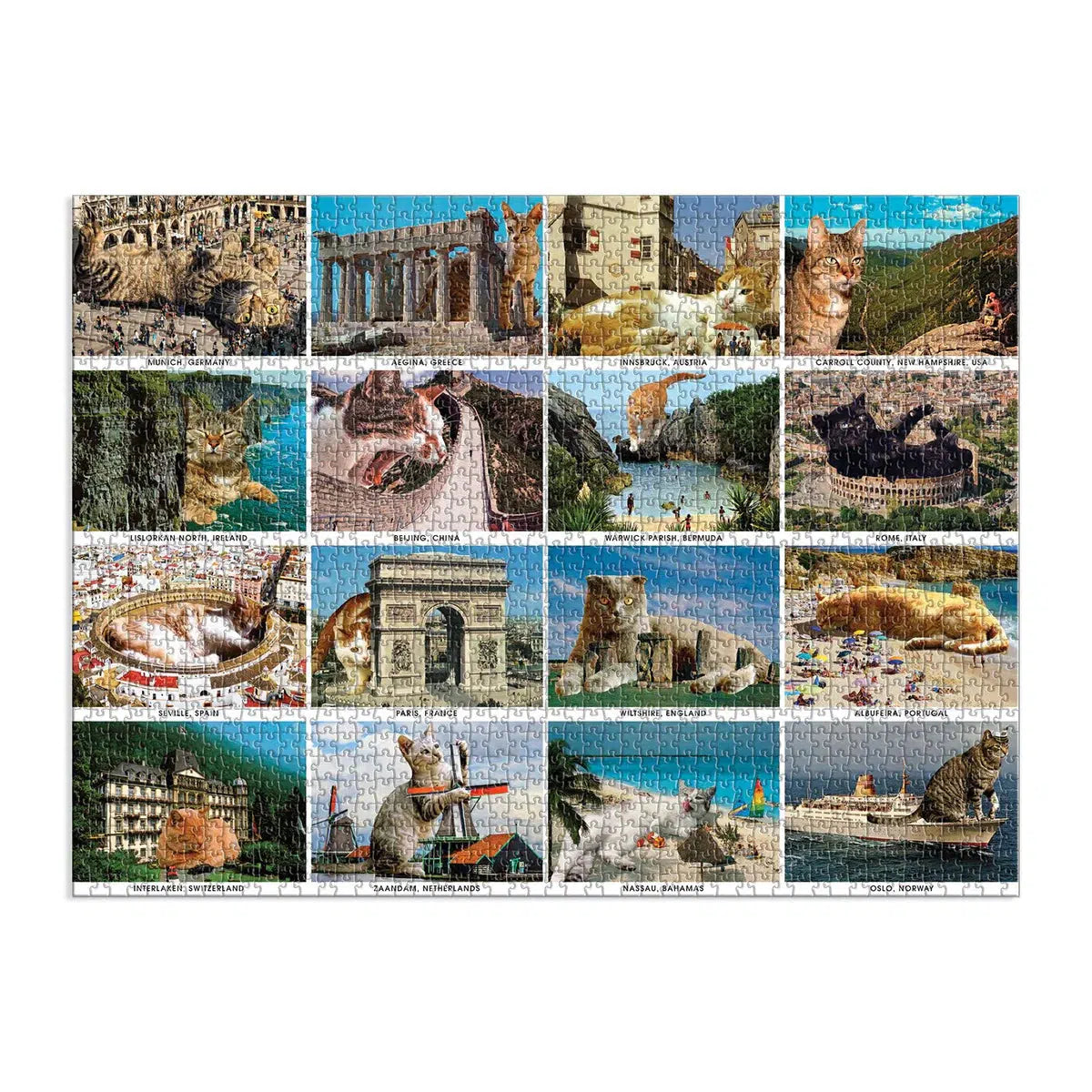 Vacation Cats 1500 Piece Jigsaw Puzzle Galison