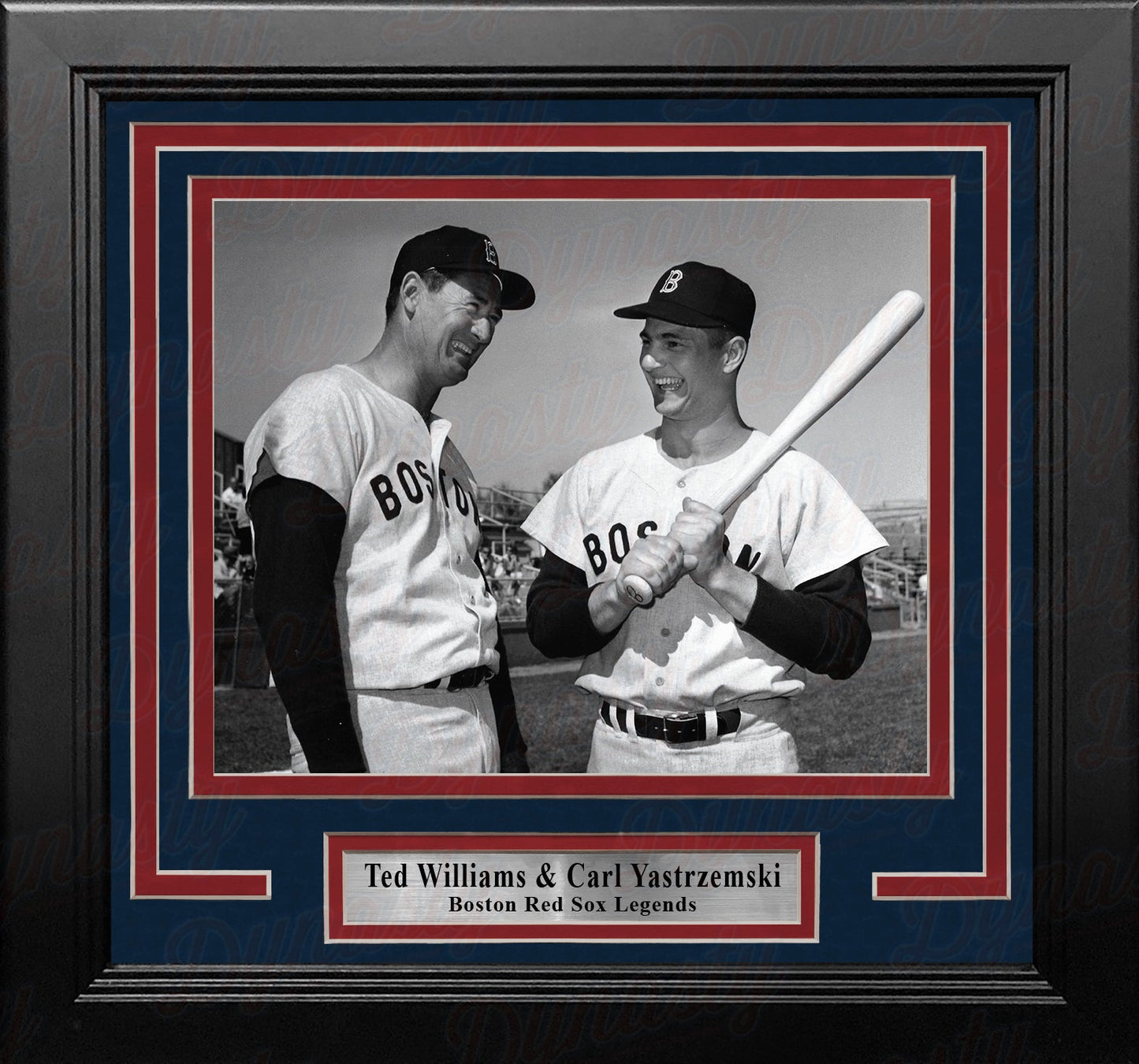 Ted Williams & Carl Yastrzemski Boston Red Sox 8" x 10" Framed Baseball Photo