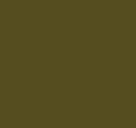 AK Interactive 11433 Figures Series: US Olive Base Uniform 3G Acrylic Paint 17ml