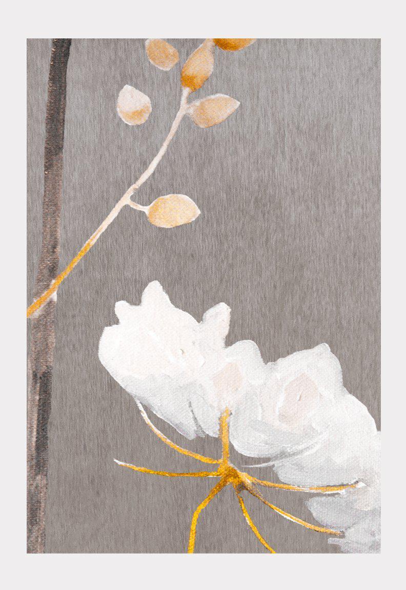Art Print: Big White Flower on Medium Grey by India & Purry