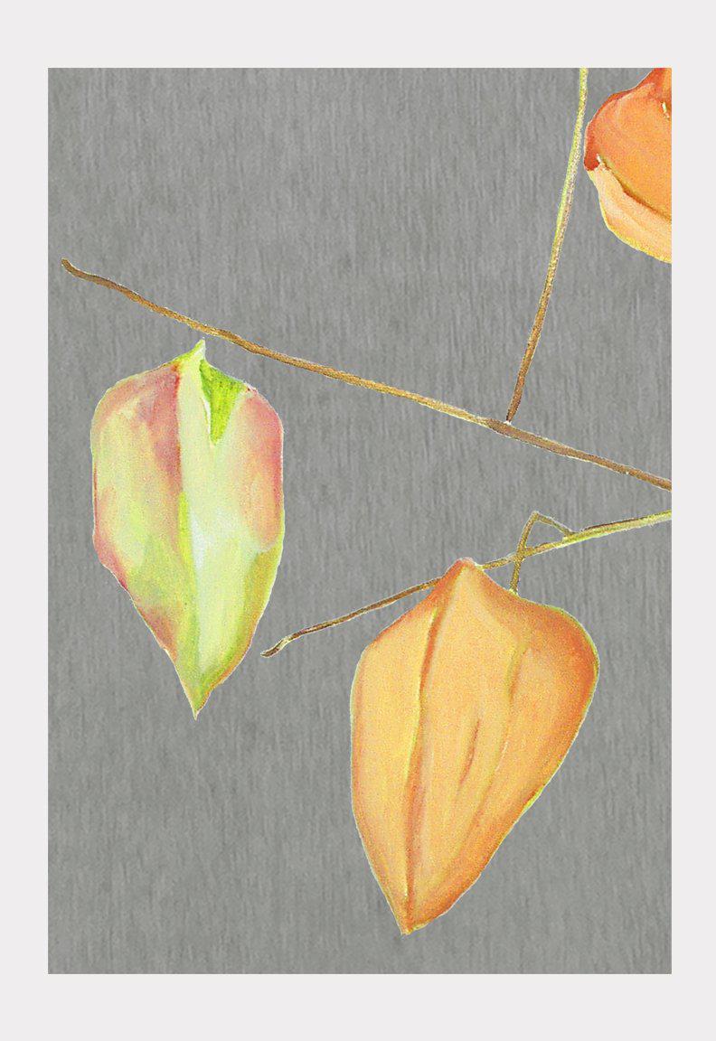 Art Print: Lanterns on Grey by India & Purry