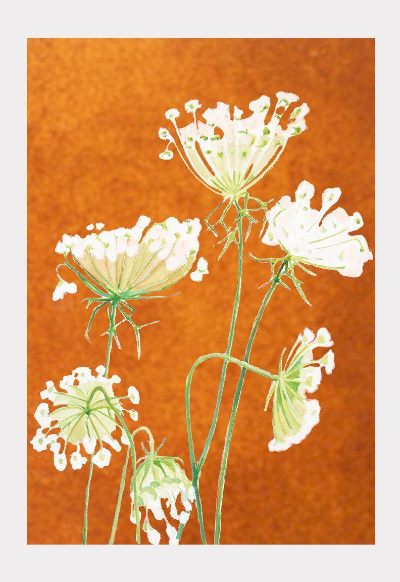 Art Print: Queen Anne's Lace on Rusty Orange by India & Purry
