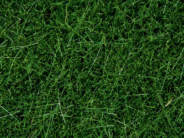 Noch 7106 All Scale Wild Grass - 1-3/4oz 50g -- Dark Green