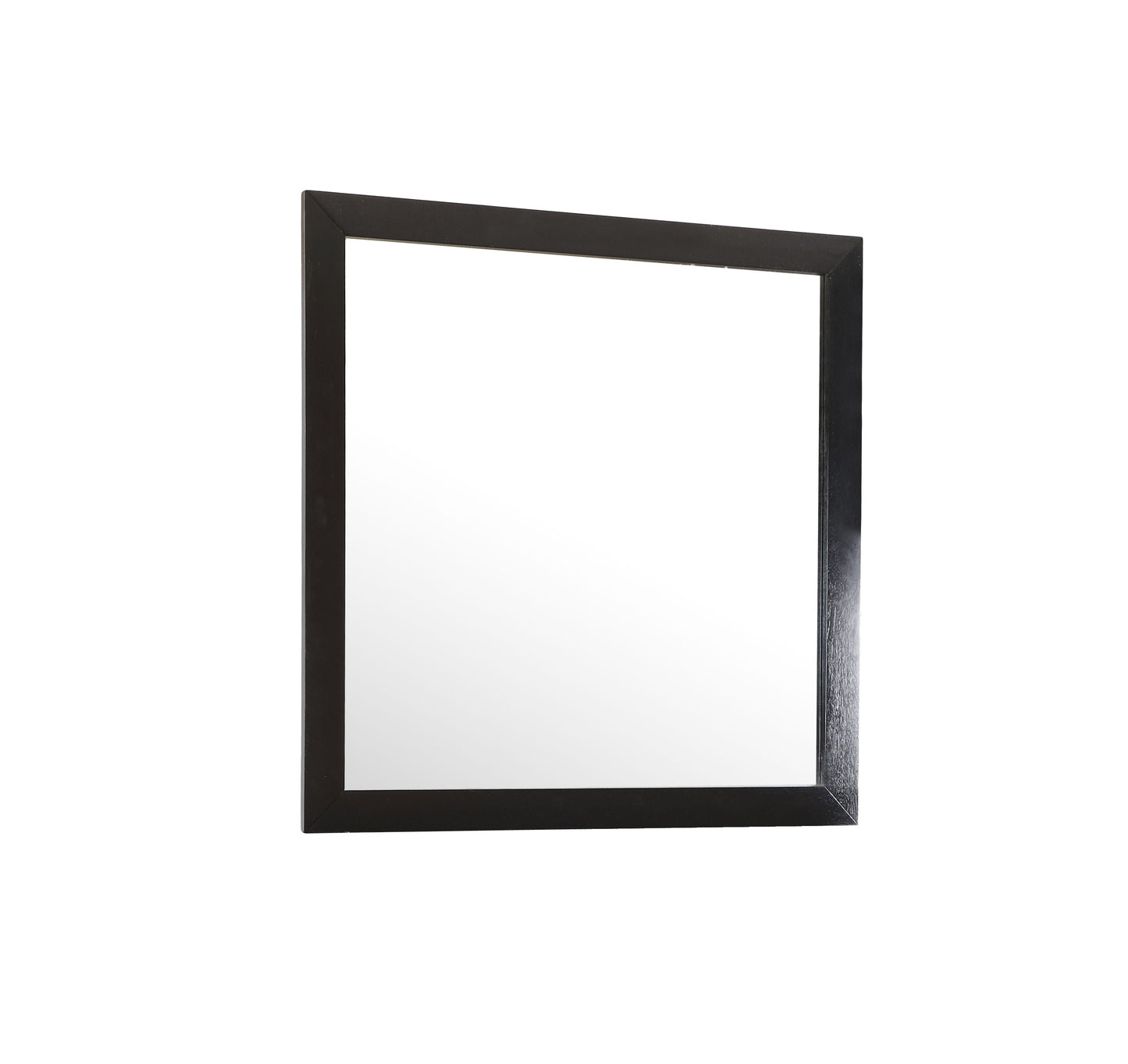 Modern Design Transitional Wall Mirror by Couch.com