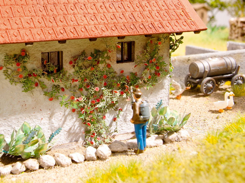 Noch 14118 HO Scale Rambler Roses Laser-Cut Minis, 6 Plants