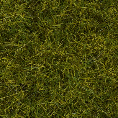 Noch 7090 All Scale Wild Grass - 1/4" .6cm Fibers in 3-1/2oz 100g Tub