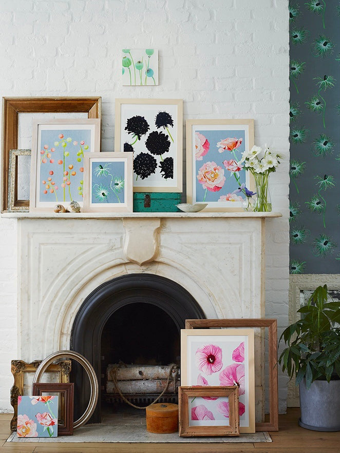Art Print: Black Scabiosa on Snow by India & Purry
