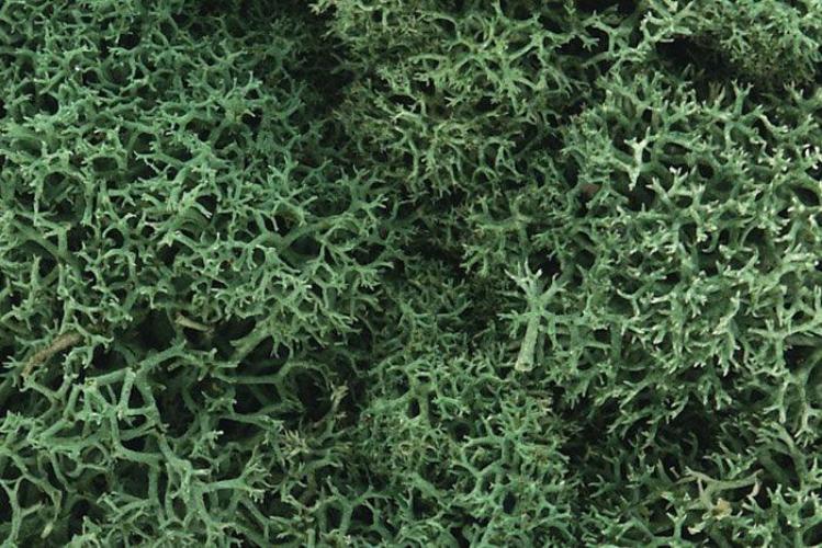 Woodland Scenics L162 N/HO Lichen Light Green 1.5 Quarts Train Scenery