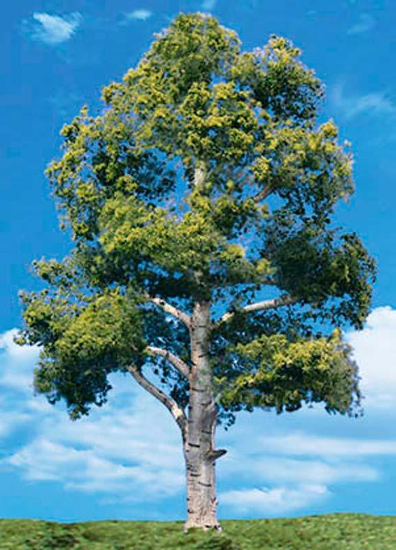 Woodland Scenics TR3535 N/HO Waters Edge Tree 4" - 5" Train Scenery