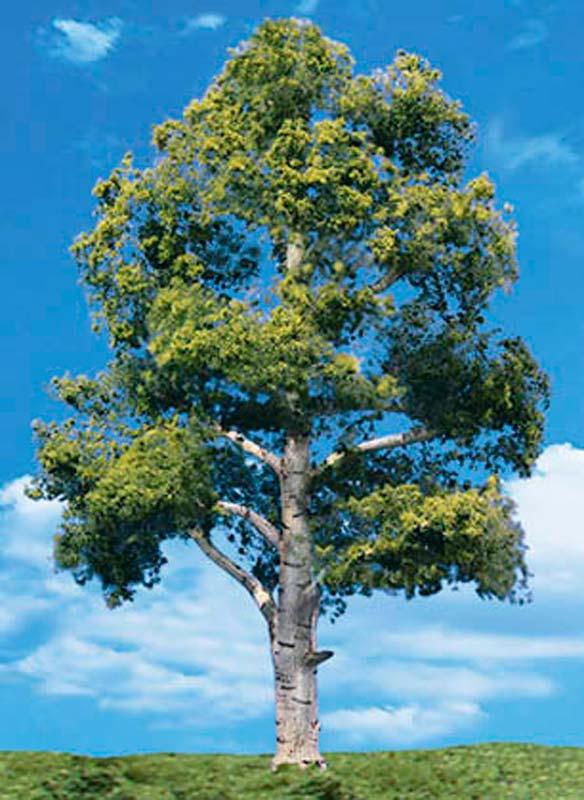 Woodland Scenics TR3538 N/HO Waters Edge Tree 7" - 8" Train Scenery
