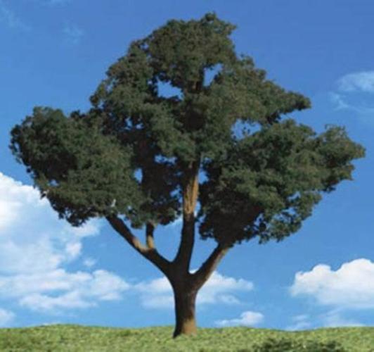 Woodland Scenics TR3547 N/HO Cool Shade Tree 3/4" - 1 1/4" Train Scenery