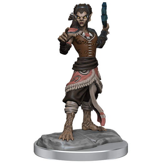D&D: Nolzur's Marvelous Miniatures - Shifter Fighter