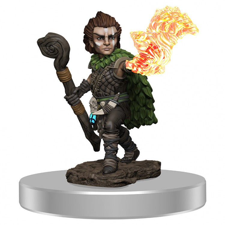 Pathfinder Battles: Male Gnome Druid W3