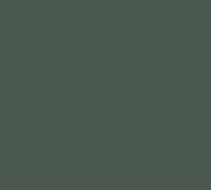 AK Interactive 11364 AFV Series: French Army Green 3G Acrylic Paint 17ml Bottle