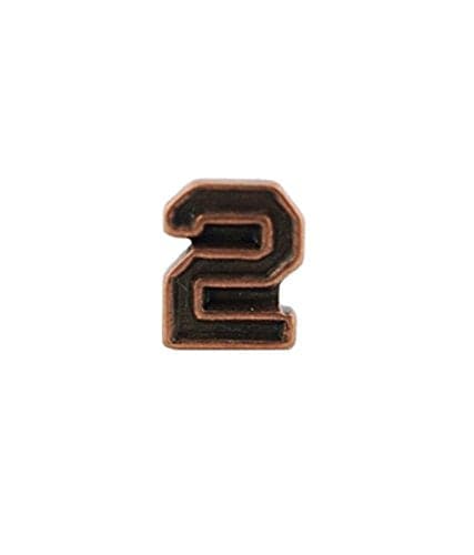 U.S. Army Numeral 2 3/16in Bronze Ribbon Device