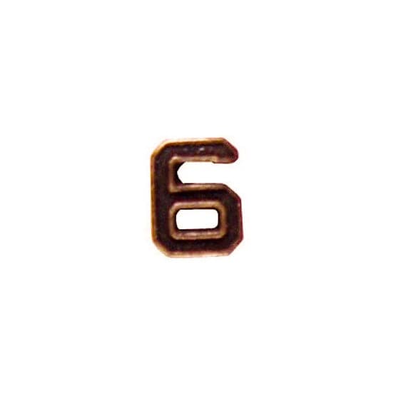 U.S. Army Numeral 6 3/16in Bronze Ribbon Device