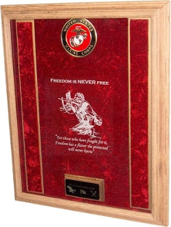 Air Force Awards Display Case.