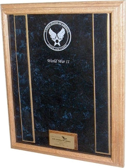 Air Force Awards Display Case.
