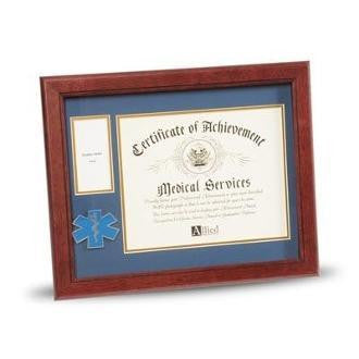 EMS Frame 8x10 EMS Medallion,Certificate,Medal Frame with Gold Trim