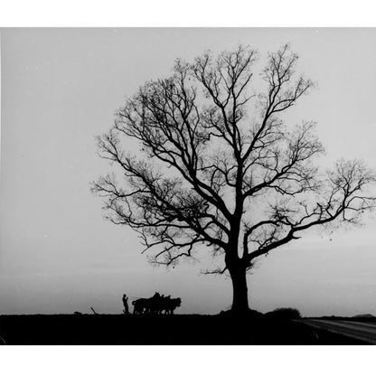 Just Passing Through by Schiffer Publishing