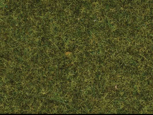 Noch 7117 All Scale Static Wild Grass - 1.8oz 50g; 3/8" .9cm fibers -- Meadow