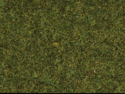 Noch 7117 All Scale Static Wild Grass - 1.8oz 50g; 3/8" .9cm fibers -- Meadow