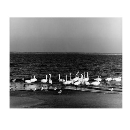 Just Passing Through by Schiffer Publishing