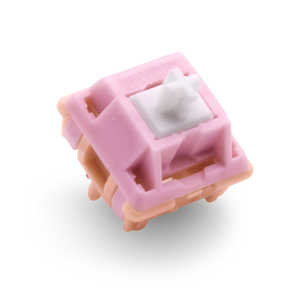 Salmon Tactile Switch