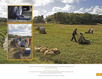 Farms of Cape Cod by Schiffer Publishing