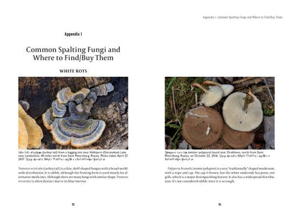 Spalting 101 by Schiffer Publishing