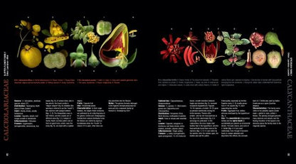 Atlas of Flowering Plants by Schiffer Publishing